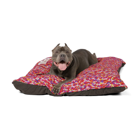 A gray pit bull with cropped ears and a red collar lies on a colorful, red-patterned dog bed, enjoying luxurious comfort. The dog is panting with its mouth open and tongue out, looking directly at the camera against a plain white background.