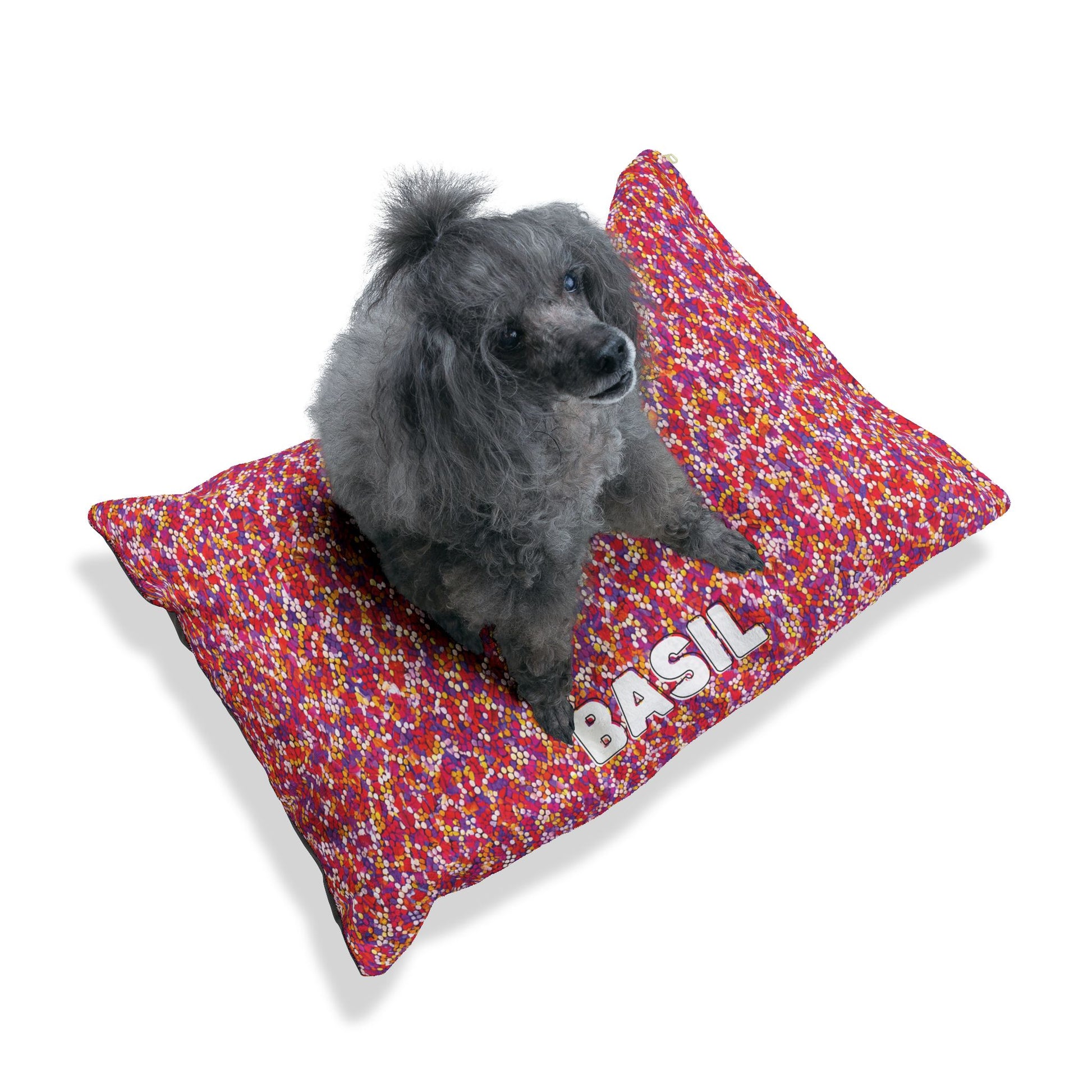 A small gray poodle with curly fur sits on a rectangular, multicolored red, pink, and white personalized pet bed. The cushion, featuring the name BASIL in bold white letters, offers luxurious comfort against a plain white background.