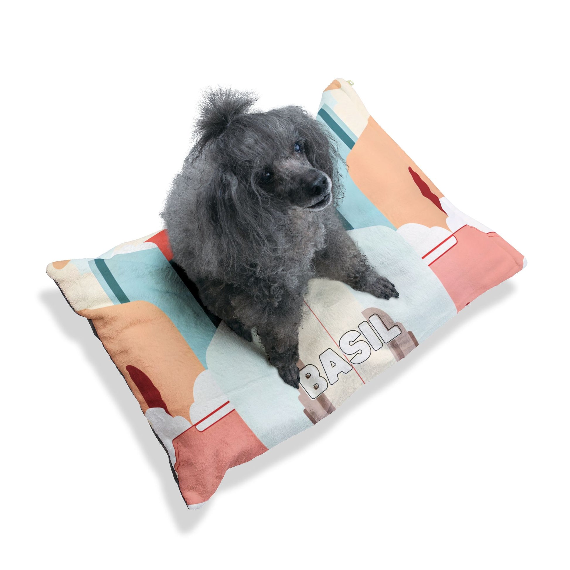 A small, curly gray dog sits on a colorful pillow with African-inspired abstract patterns and the name BASIL printed in large letters. The background is plain white, and the dog looks slightly upward with its ears perked and fur fluffy.
