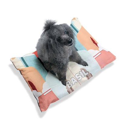 A small, curly gray dog sits on a colorful pillow with African-inspired abstract patterns and the name BASIL printed in large letters. The background is plain white, and the dog looks slightly upward with its ears perked and fur fluffy.